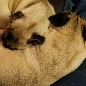 Meet your Posher, Corie